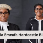 Victoria Emeafa Hardcastle Biography