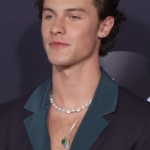 Shawn Mendes biography and net worth
