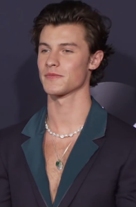 Shawn Mendes biography and net worth